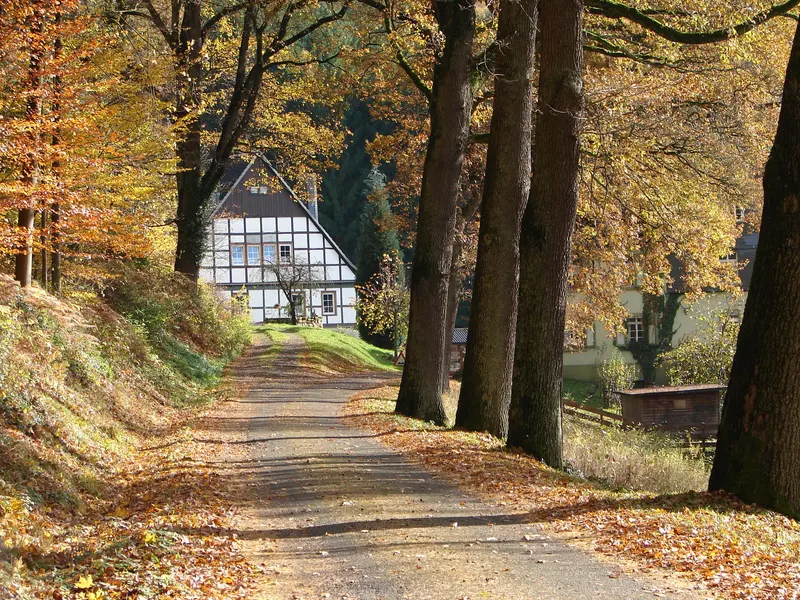 Baumgesäumter Weg und Fachwerkgebäude am Rittergut Wildshausen