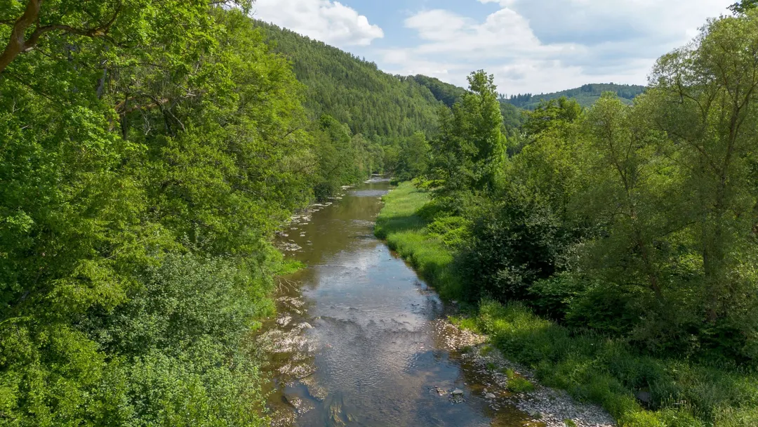 Luftaufnahme der Ruhr und der grünen Landschaft rund um Wildshausen
